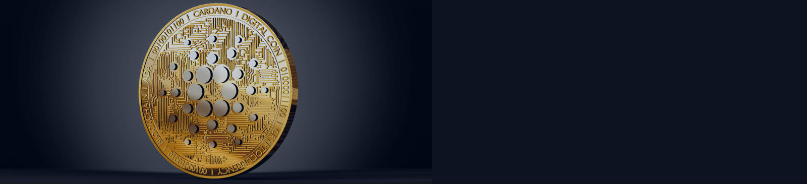 Cardano News.